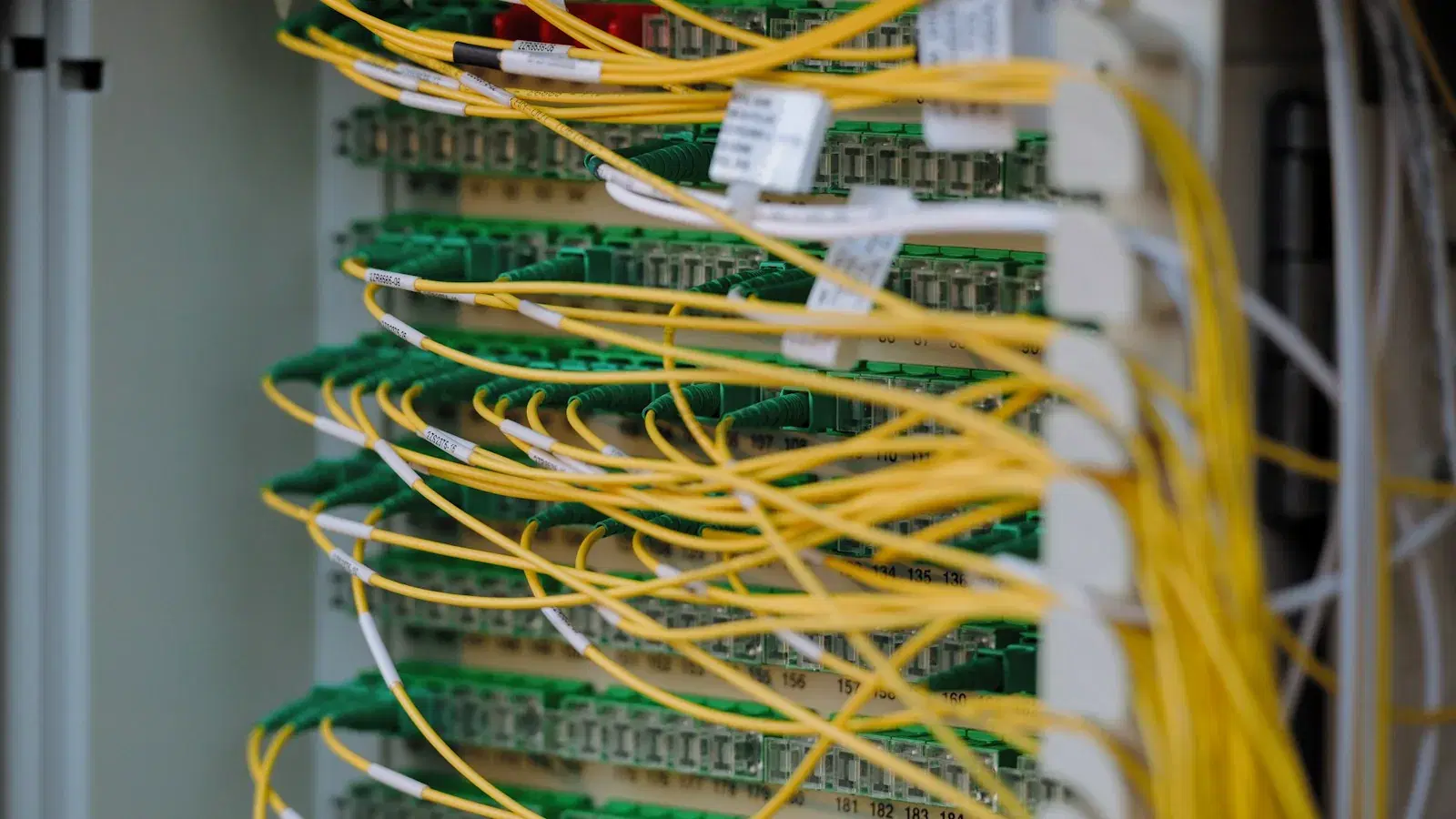 Yellow fibre patch leads running in bundles across a network cabinet.